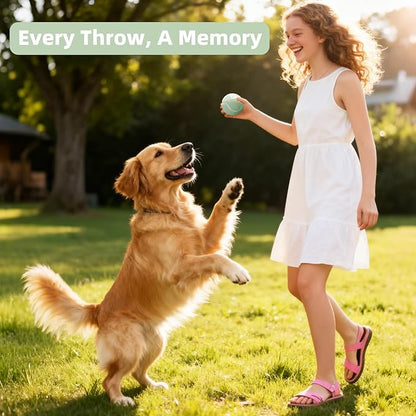 2.5" Dog Tennis Balls 24-Pack – Silent Bounce, Tough Rubber Core, Durable Fetch & Training Toys for Indoor/Outdoor Play, for Small Medium Large Dogs (Macaron Mixed Colors, 24-Pack)