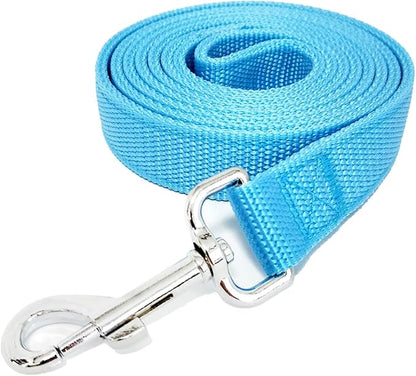 Strong Nylon Dog Leash with 2-Layer, 4 FT/ 6 Feet Long, 1 Inch Wide for Medium Large Dogs (1'' x 5 FT, Sky Blue)