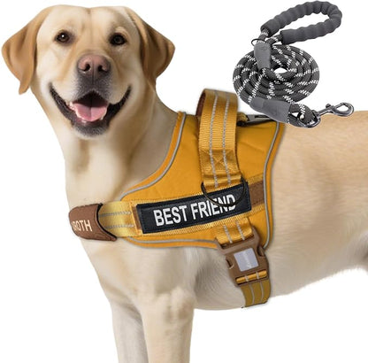 AUROTH Dog Harness and Leash Set, Soft Padded Service Dog Vest with 5.25FT Dog Leash, No Choke, Easy On Pet Vest, Adjustable Reflective No Pull Dog Harness for Large Dogs, Easy Walking and Training