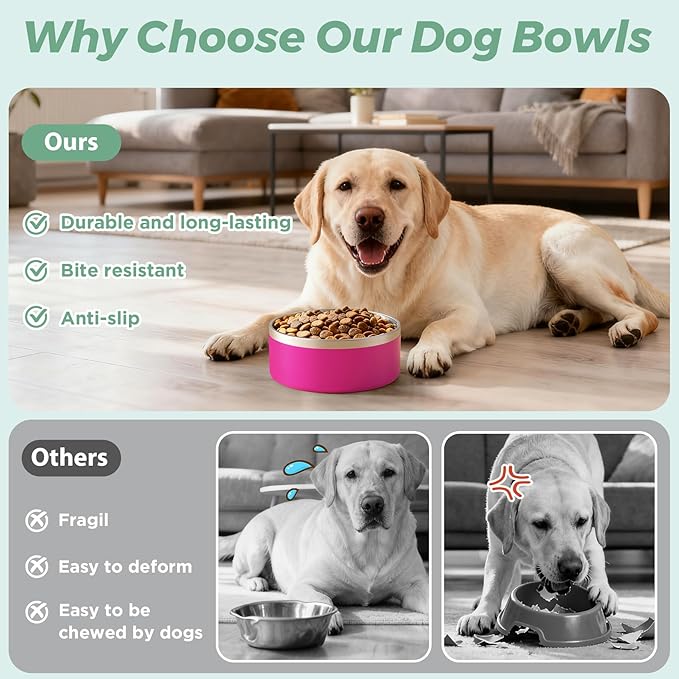 LIHONG Stainless Steel Dog Bowls for Small Medium Sized Dogs Non Slip,Insulated Dog Bowl,Pet Bowl for Food and Water,Rustproof(40oz,Pitaya Pink)