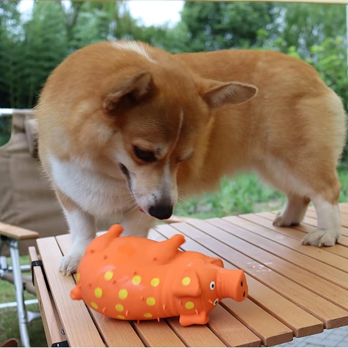 Pig Squeaky Dog Toy, 2 PCS Interactive Rubber Dog Chew Toy - Durable Latex Spot Grunting Pig Toys that Oink for Small Medium Large Dogs (Orange, Green)