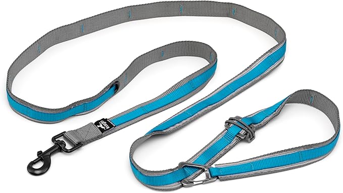 Kurgo 6 in 1 Quantum Leash, Hands Free Leash for Dogs, Running Belt Lead, Crossbody & Waist Belt Style, Reflective, Carabiner Clip, for Training, Hiking, or Jogging, 4 Colors