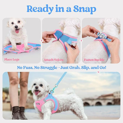 rabbitgoo Dog Harness Small Medium Sized and Leash Set, Step in Soft Light Puppy Vest, Breathable Mesh Pet Harness, Reflective for Safe Easy Walking, Blue & Light Pink XL