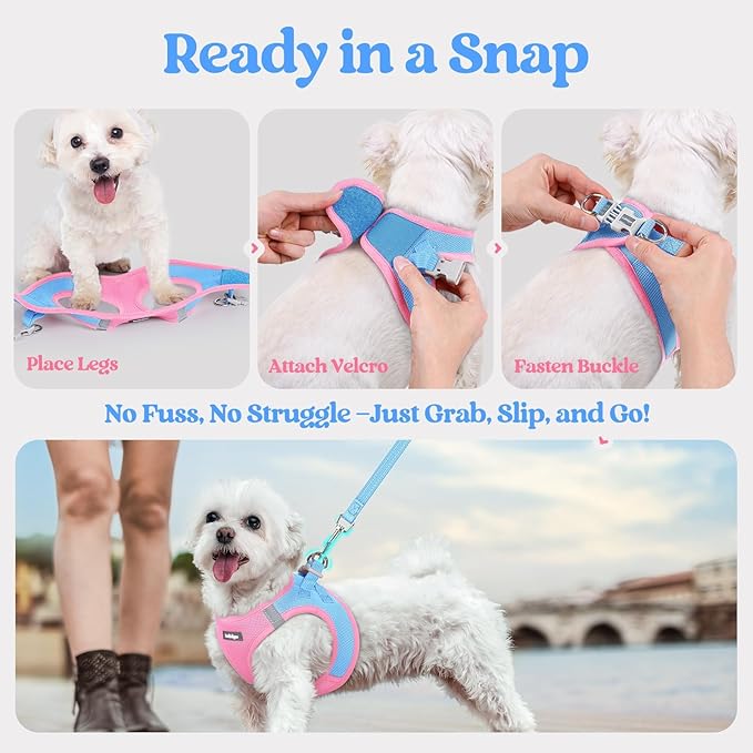 rabbitgoo Dog Harness Small Medium Sized and Leash Set, Step in Soft Light Puppy Vest, Breathable Mesh Pet Harness, Reflective for Safe Easy Walking, Blue & Light Pink L