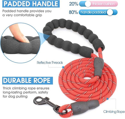 BAAPET 2/4/5/6 FT Dog Leash with Comfortable Padded Handle and Highly Reflective Threads for Small Medium and Large Dogs (5FT-1/3'', Red)