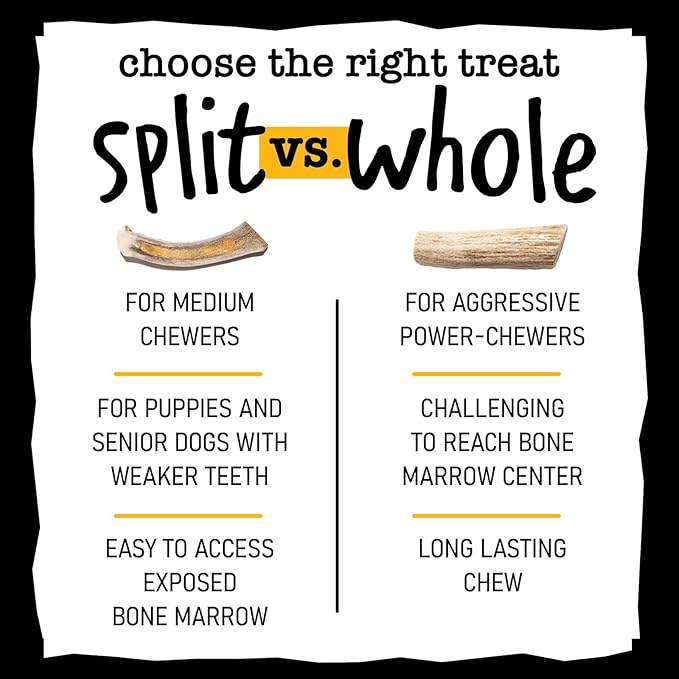 Snatchers Split Elk Antlers for Dogs – Long Lasting Dog Chews and Dog Toys for Aggressive Chewers, Naturally Shed Deer Antlers for Dogs Processed in The USA, No Additives (Small, 4-5", 1 Count)