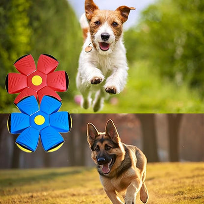 alfyng 2 Pack Flying Saucer Ball for Dogs, Pet Flying Discs Toys, Interactive Dog Disc Saucer Ball Toy, Dogs Games Toys for Medium Large Dogs Pet and Kids Outdoor Sports Exercise No Light