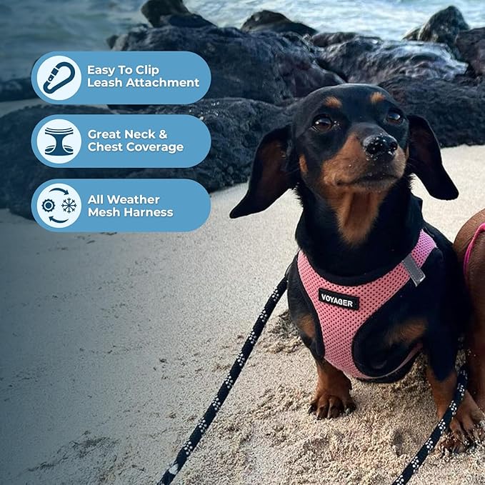 Best Pet Supplies - All Weather Mesh/Plush, Reflective, No Pull Harness for Small, Medium Dogs, Cats - Secure with Hook & Loop Fastener, Buckle, Double D-Rings - Pink/Black Trim, M