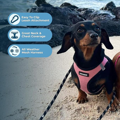 Best Pet Supplies - All Weather Mesh/Plush, Reflective, No Pull Harness for Small, Medium Dogs, Cats - Secure with Hook & Loop Fastener, Buckle, Double D-Rings - Pink/Black Trim, M