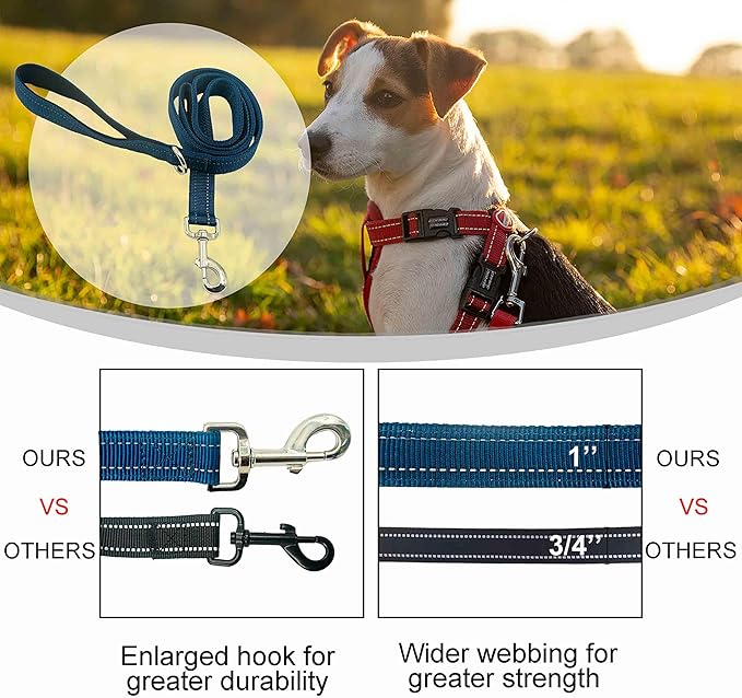 Heavy Duty 2 Padded Handle Dog Walking and Training Standard Leashes for Traffic Control,with Enlarged Tangle Free Buckle,D-Ring,Double-Sided Reflective Stitching,Double Layer Nylon,Blue 4Ft