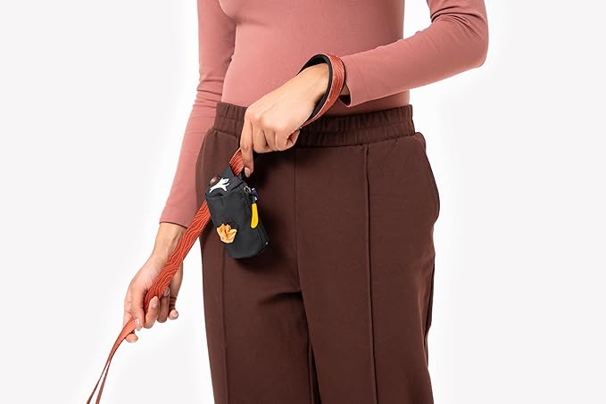 OllyDog Scoop Pick Up | Dog Poop Bag Holder | Lightweight & Water-Resistant Dispenser | Leash Attachment for Hands-Free Carry | Fits Standard Waste Bag Rolls (Raven)