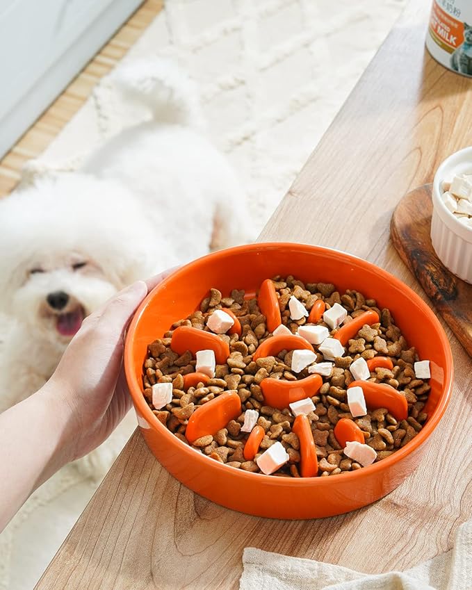 LE TAUCI Dog Slow Feeder Bowl,1.5 Cups Ceramic Maze Pattern for Large Breed,Green and Orange