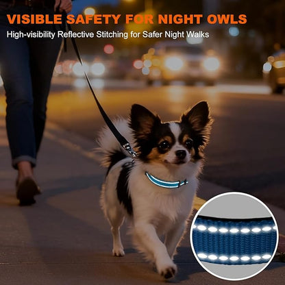 Taglory Reflective Dog Collar with Safety Locking Buckle, Soft Neoprene Padded Dog Collar for Puppy Dogs, Metal D-Ring, Adjustable Nylon Neck Strap for Daily Walking, Training & Running, Sky Blue, XS