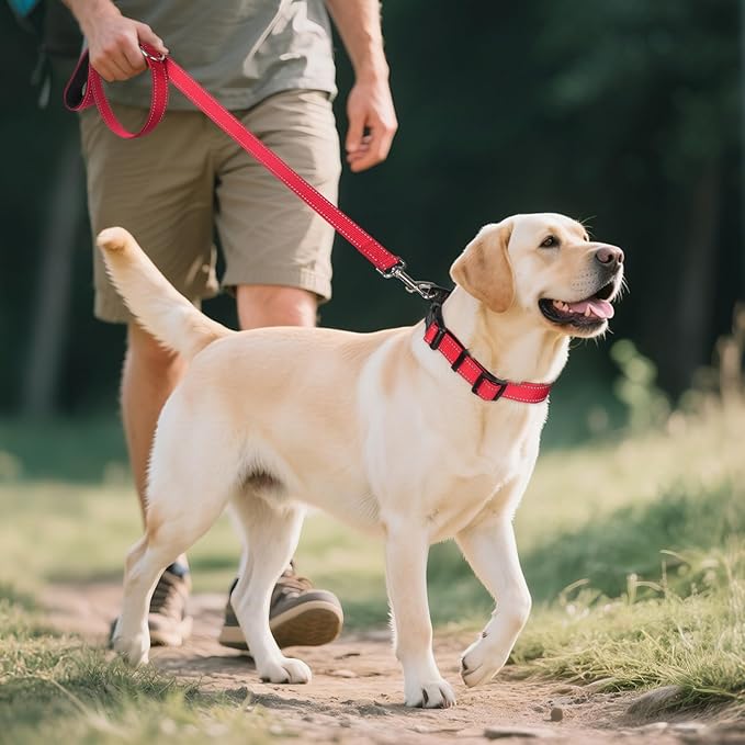 Joytale Reflective Dog Collar, Soft Neoprene Padded, Metal D-Ring, Nylon Pet Collar Adjustable for Extra Large Dogs, Red, XL