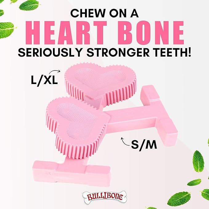 Bullibone Nylon Dog Chew Toy for Aggressive Chewers - Dental Hygiene Bone with Peppermint Flavor, Durable Tough Chew Toys for Large Dogs, Indestructible Dog Bone - 3 Pack