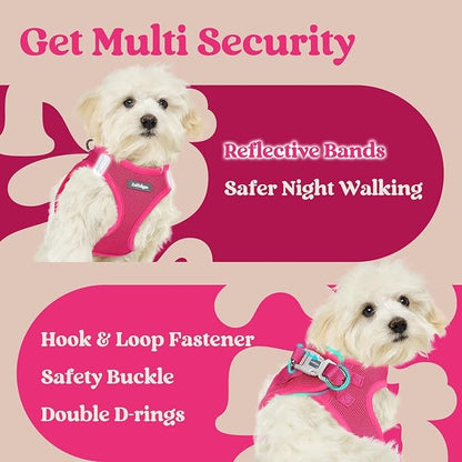 rabbitgoo Small Dog Harness, Step-in Soft Mesh Puppy Vest with Safety Buckle, Breathable Reflective Pet Harness for Small Sized Dogs, Rose Red XS