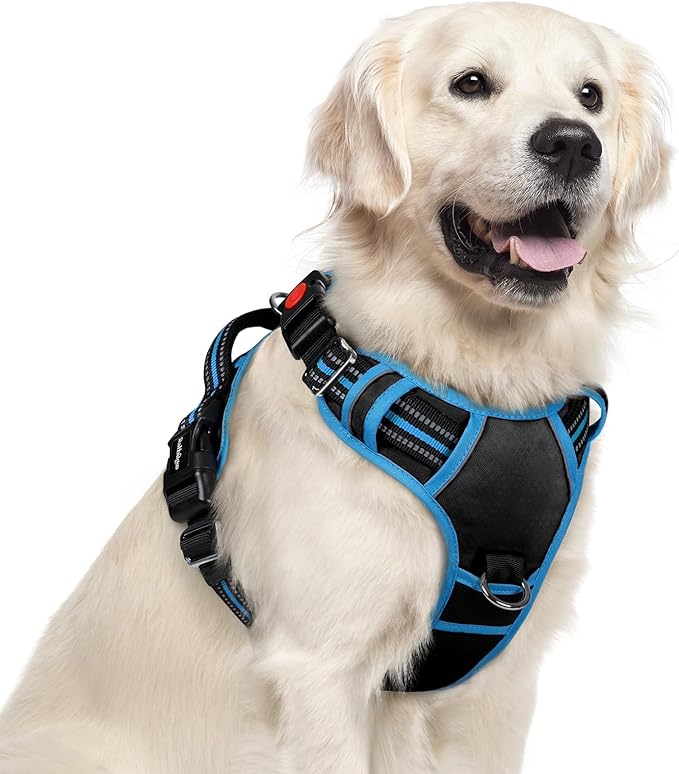 rabbitgoo Dog Harness for Large Dogs, No Pull Pet Vest with 3 Buckles, Adjustable Soft Padded Pet Harness with Easy Control Handle and Reflective Strips, Black & Sky Blue, XL