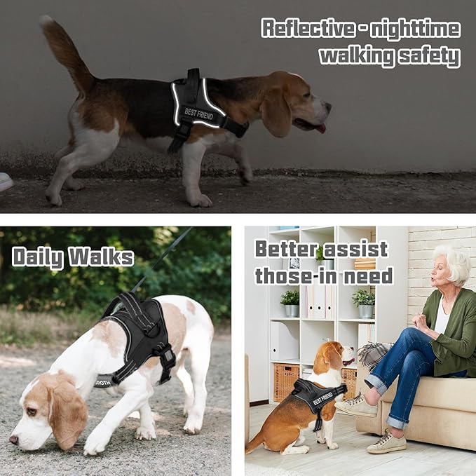 AUROTH Dog Harness and Leash Set, Soft Padded Service Dog Vest with 5.25FT Dog Leash, No Choke, Easy On Pet Vest, Adjustable Reflective No Pull Dog Harness Small Sized Dog, Easy Walking and Training