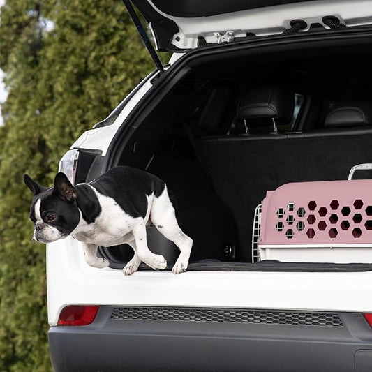 26" Plastic Portable Dog Kennel, Pink – Lightweight Travel Crate for Medium Dogs Cat, Durable & Ventilated, Indoor/Outdoor Use