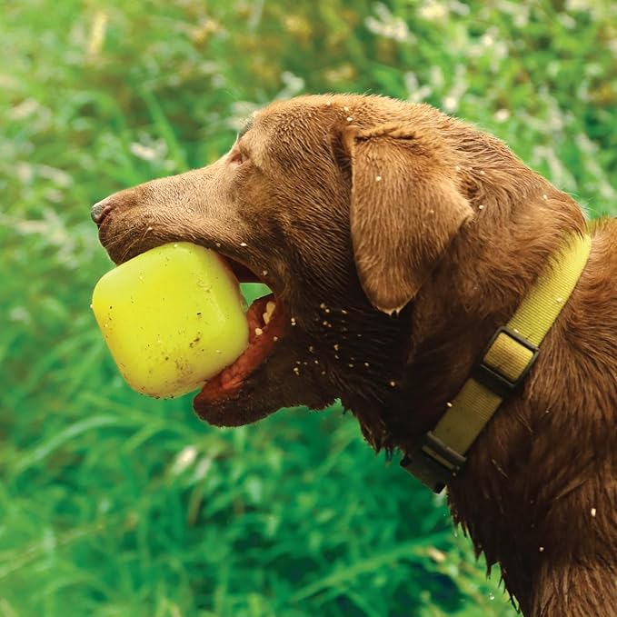 Ruff Dawg Cube XL 3.5 Indestructible Dog Toy – Heavy-Duty Rubber Fetch & Chew Toy for Aggressive Chewers – Erratic Bounce, Floats, BPA & Latex Free – Made in USA