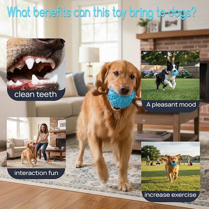 Dog Toys,Hybrid Dog Chew Toy for Aggressive Chewers, 2-in-1 Durable Wood-Plastic Bone & TPR Spike Ball, Natural Wood Scent, Integrated Safe Design for 20-100 lbs Medium Large Breeds