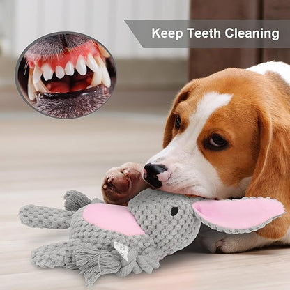 Dog Toys, Dog Squeaker Toys with Crinkle Paper, Stuffed Animal Dog Plush Chewing Toy, Cotton Rope Interactive Toys for Puppy, Small, Middle Dogs (Gray Rabbit)