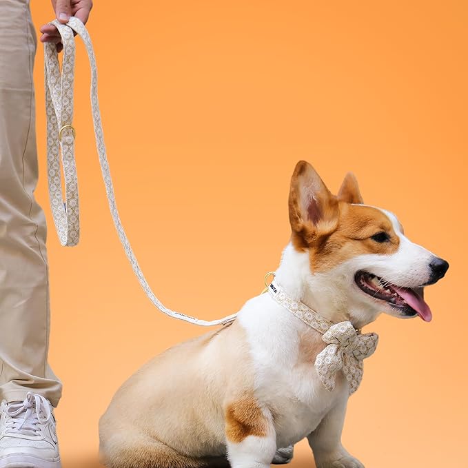 5 FT Stylish Dog Leash, Soft Dog Leashes with Comfortable Padded Handle, Metal Carabiner Clip, Strong No Pull Pet Leash for Small Medium Dogs for Walking, Shopping and Running