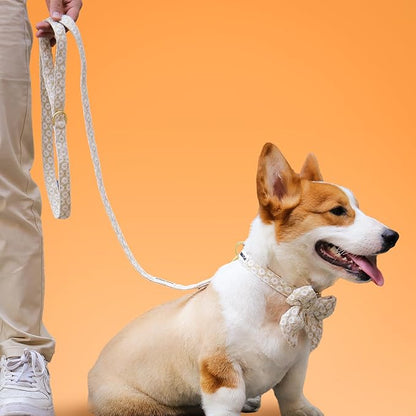 5 FT Stylish Dog Leash, Soft Dog Leashes with Comfortable Padded Handle, Metal Carabiner Clip, Strong No Pull Pet Leash for Small Medium Dogs for Walking, Shopping and Running