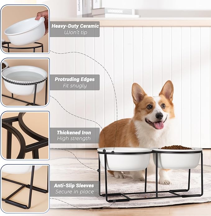 Ceramic Elevated Dog Bowl Set - Raised Food and Water Bowls with Metal Stand - Double Pet Dishes for Small and Medium Dogs - 2 Cups - 27 fl oz - Matte Whit