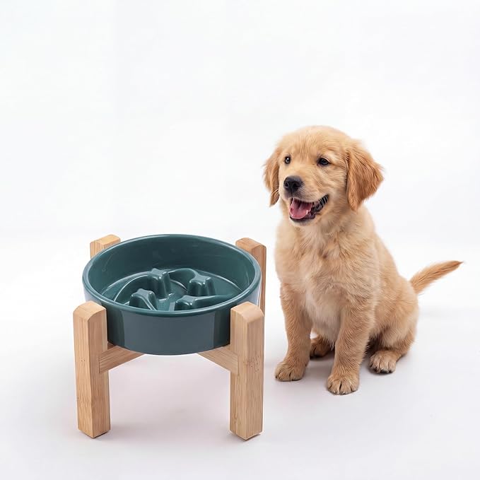 Ceramic Slow Feeder/Dog Bowl for Small Medium Dogs,Elevated/Raised Slow Feeding Dog Food Water Dish Heavy Weighted,Puzzle Eating Bowl Moder （Stars Mark-Forest Green, 8.26in）