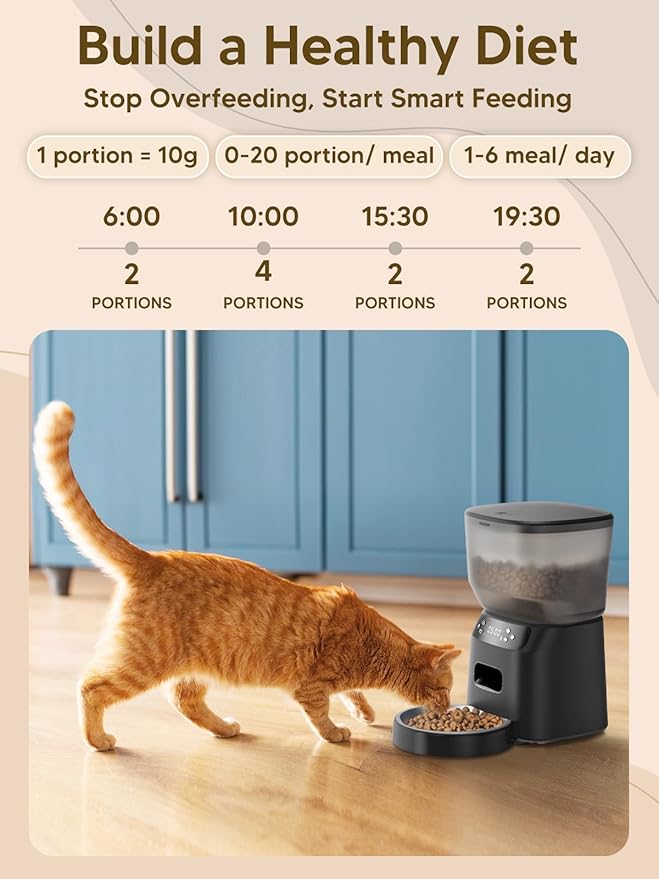 Automatic Cat Feeder and Water Fountain, 4L/16Cups Pet Dry Food Dispenser 2L Water Dispenser, Locking Lid, Programmable Timer 6 Daily Meals, 10s Voice Recorder, Cat Accessories for Puppy Kitten