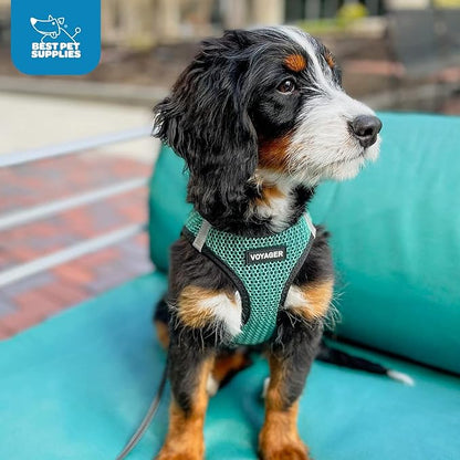 Best Pet Supplies - All Weather Mesh/Plush, Reflective, No Pull Harness for Small, Medium Dogs, Cats - Secure with Hook & Loop Fastener, Buckle, Double D-Rings - Turquoise 2-Tone, M