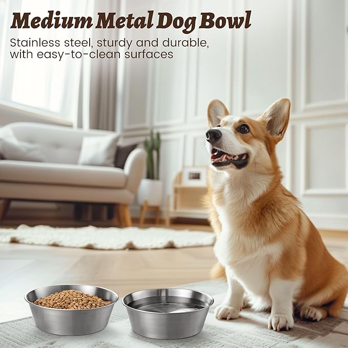 Heavy-Duty Stainless Steel Dog Bowl - Food Grade 304, Rustproof & BPA Free - Easy to Clean, Dishwasher Safe -Medium (48oz, 6 Cups) for Dogs 40-80lbs