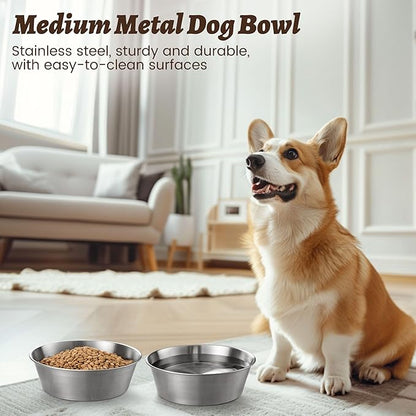 Heavy-Duty Stainless Steel Dog Bowl - Food Grade 304, Rustproof & BPA Free - Easy to Clean, Dishwasher Safe -Medium (48oz, 6 Cups) for Dogs 40-80lbs