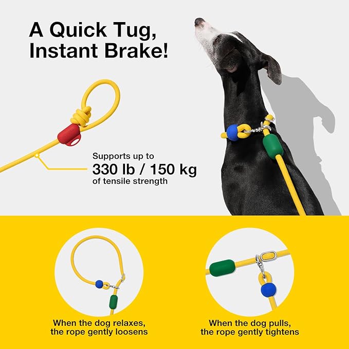 VETRESKA Hands-Free Dog Leash, 8FT Adjustable Rope Leash for Medium Large Dogs, Waist/Crossbody Slip Lead Leashes for Walking, No Pull Dog Leashes with Bag Dispenser, 2 in 1 Walk Kit (Chroma)