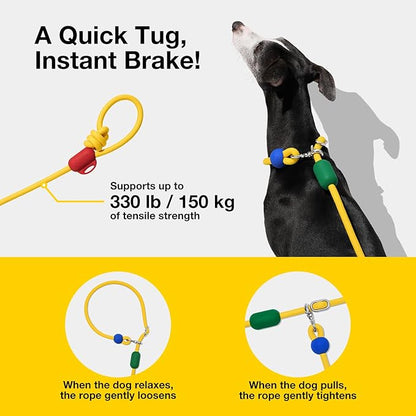 VETRESKA Hands-Free Dog Leash, 8FT Adjustable Rope Leash for Medium Large Dogs, Waist/Crossbody Slip Lead Leashes for Walking, No Pull Dog Leashes with Bag Dispenser, 2 in 1 Walk Kit (Chroma)