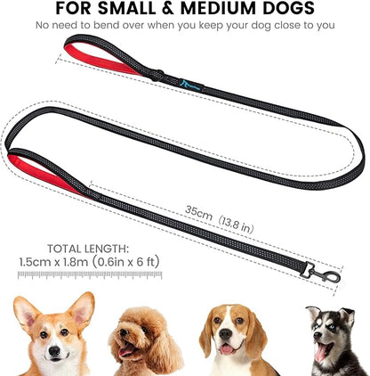 PuppyDoggy 2 Pack Dog Leash for Small to Medium Dogs 6 ft with 3 Reflective Stitching and 2 Traffic Padded Handles Dog Lead/Rope, Pet Leash for Running Walking Training (6 ft x 0.6 in - Blue 2 Pack)