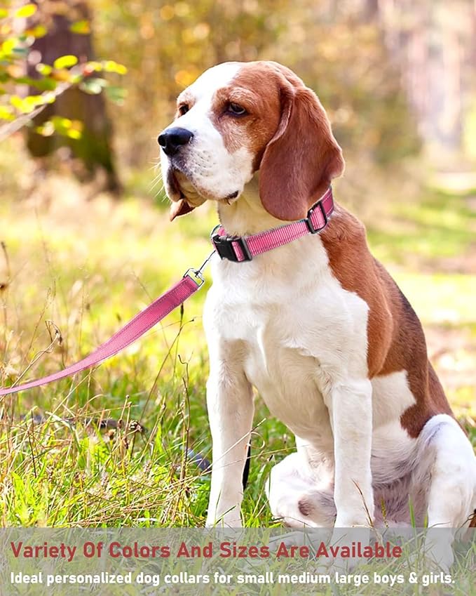 Reflective Dog Collar with Buckle Adjustable Safety Nylon Collars for Small Medium Large Dogs, Light Pink S