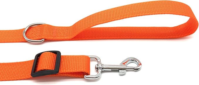 TAIAN Adjustable Nylon Dog Leash, 10 Foot Long Dog Leashes for Medium Large Dogs Orange