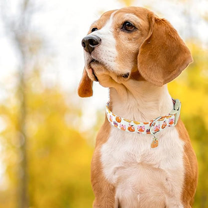 Faygarsle Fall Pumpkin Pattern Dog Collar with Charm, Adjustable Neckwear for Small Medium Large Dogs, Orange and Pink for Small Medium Large Dogs M