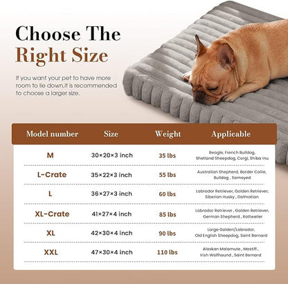 Orthopedic Dog Bed Medium Size Dog, Pet Beds with Waterproof Lining, Soft Short Plush Surface & Egg Crate Foam, Machine Washable Pet Mat with Removable Cover & Anti Slip Bottom