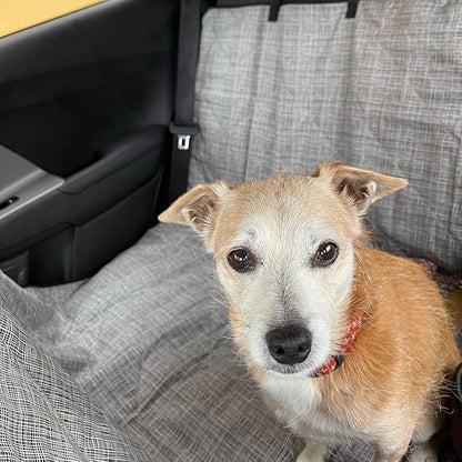 Molly Mutt 3-in-1 Back Seat Cover for Dogs, 100% Cotton Canvas Back Seat Hammock with Headrest Straps, Belt Slots, & Anchors, Non-Skid Cargo Area Cover, Machine Washable, No Harmful Chemicals, 56"x56"