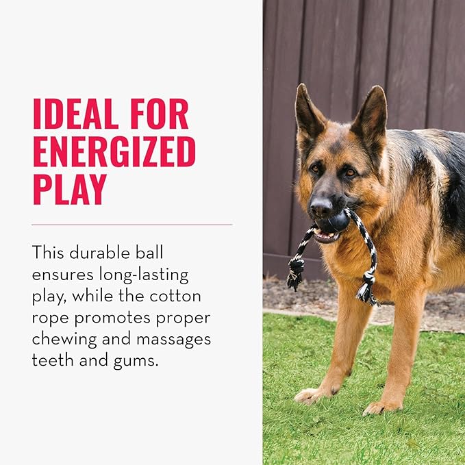 KONG Extreme Ball with Rope - Dog Fetch Toy with Rope for Easy Throwing - Durable Dog Ball Toy for Tug, Playtime & More s Most Durable Natural Rubber - Black - for Large Dogs