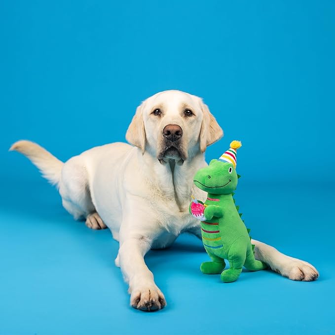 Fringe Studio Plush Dog Toy, I’M How Old?, Pet Shop Collection (314595)