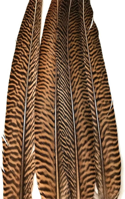Pheasant Tail Feather Mix (16-18" per 16 Feathers)