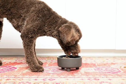 Waggo Uplift Ceramic Dog Bowl for Small Medium and Large Breeds - Heavyweight and Durable Pet Food and Water Dish Crock, Dishwasher Safe, Modern, Elevated Feeder (Black, Large)