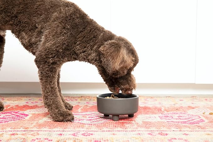 Waggo Uplift Ceramic Dog Bowl for Small Medium and Large Breeds - Heavyweight and Durable Pet Food and Water Dish Crock, Dishwasher Safe, Modern, Elevated Feeder (Medium, White)