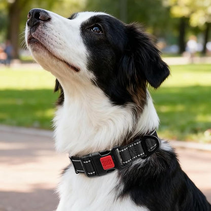 Taglory Reflective Dog Collar with Safety Locking Buckle, Soft Neoprene Padded Dog Collar for Medium Dogs, Metal D-Ring, Adjustable Nylon Neck Strap for Daily Walking, Training & Running, Black, M