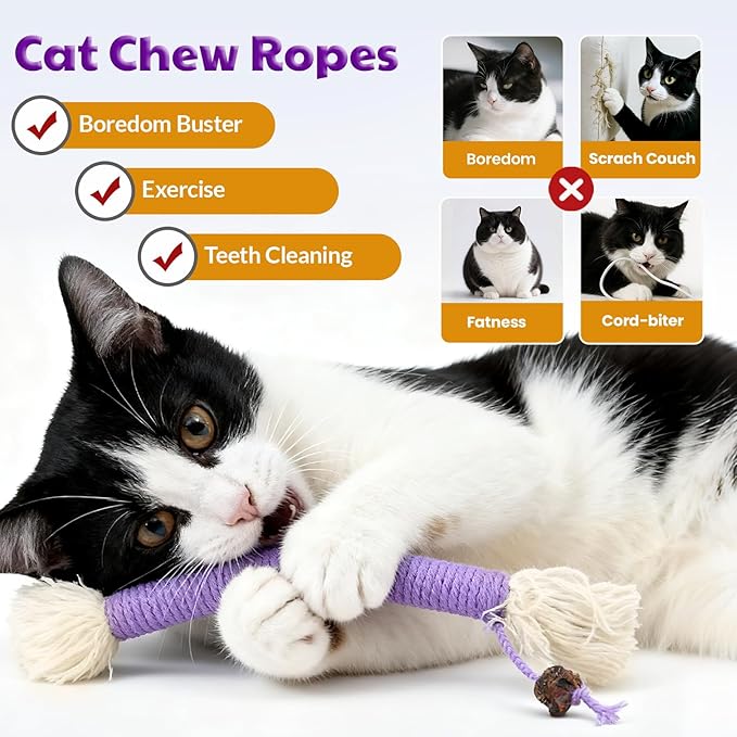 Kitten Toys, Cat Chew Toy for Teeth Cleaning, Catnip Rope Toys for Indoor Kittens, Interactive Cat Nip Teething Toys for Cats, Kitty Kicker Toy, 6 Pack (Plus 3 Pouches of Catnip)
