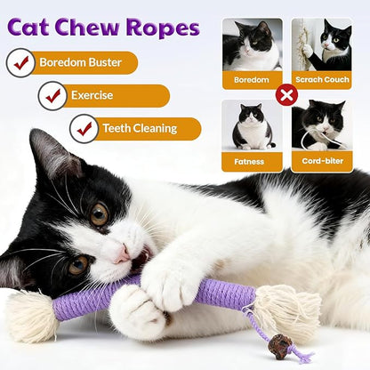 Kitten Toys, Cat Chew Toy for Teeth Cleaning, Catnip Rope Toys for Indoor Kittens, Interactive Cat Nip Teething Toys for Cats, Kitty Kicker Toy, 6 Pack (Plus 3 Pouches of Catnip)